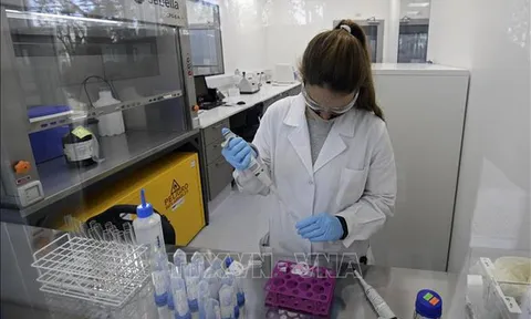 Hy vọng mới cho những người dễ bị tổn thương nhất bởi COVID-19