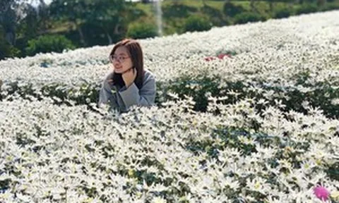 Có một ngôi trường được mệnh danh đẹp nhất Hà Nội, cả 4 mùa các loài hoa đua nhau khoe sắc