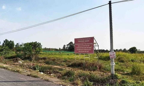 TP.HCM: Cảnh báo tình trạng phân lô, bán nền trên đất quy hoạch