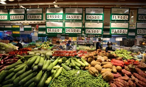 8 điều người dân TP.HCM cần biết về đợt siết giãn cách từ 23/8