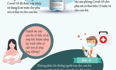 Info:Những lưu ý đối với phụ nữ mang thai, cho con bú khi tiêm vắc-xin