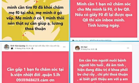 F0 khỏi Covid chăm bệnh nhân: Dân cần, viện chưa dám