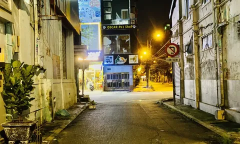Chào Sài Gòn mùa thu bình thường mới