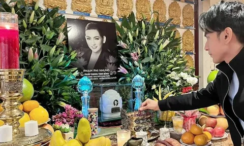 Ca sĩ Đan Trường vẫn chưa thể tin, Phi Nhung đã mất