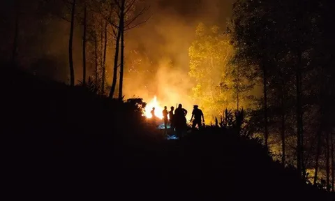 Thừa Thiên Huế: Cháy rừng thông phòng hộ gần 40 năm tuổi