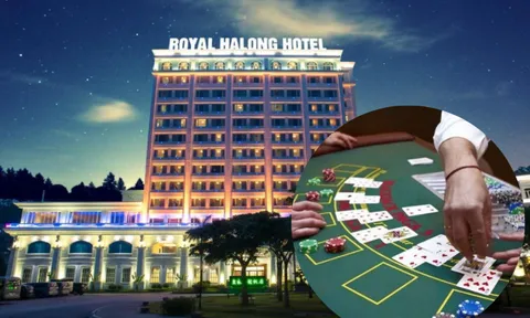 Ông chủ casino Royal Hạ Long ngậm ngùi ôm khoản lỗ tới 355 tỷ đồng