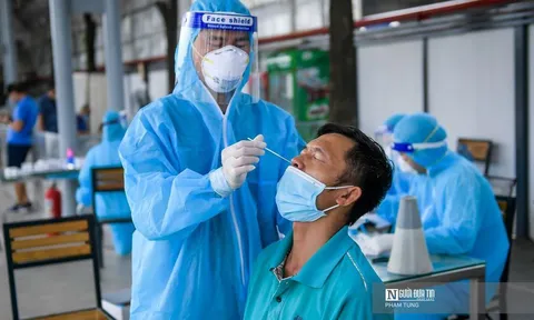 Hà Nội: Xét nghiệm nhanh kháng nguyên cho tài xế “luồng xanh”