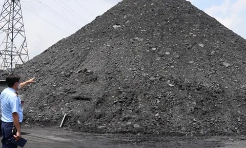 Giám đốc Cảng vụ Đường thủy nội địa KV 1 không nắm được vụ "núi than" không rõ nguồn gốc