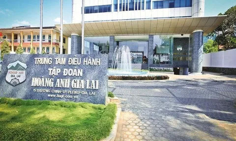 Công ty của bầu Đức bị nghi ngờ khả năng hoạt động liên tục
