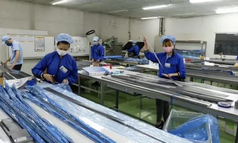 Đà Nẵng tìm “kế sinh nhai” cho hàng nghìn người dân thất nghiệp