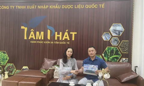 Viên Hoàng Gia đồng hành cùng Dược phẩm Quốc Tế Tâm Phát, lan tỏa những giá trị cốt lõi đến với cộng đồng