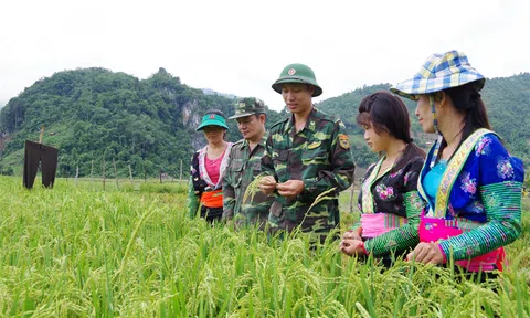 CHỐNG QUAN ĐIỂM XUYÊN TẠC NỀN TẢNG TƯ TƯỞNG VỀ KẾT HỢP KINH TẾ VỚI QUỐC PHÒNG VÀ VAI TRÒ CỦA QUÂN ĐỘI ĐỐI VỚI NỀN KINH TẾ