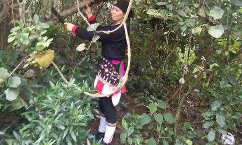 50 vị thuốc quý bí truyền của lương y núi Tản đẩy lùi bệnh tiểu đường, xương khớp